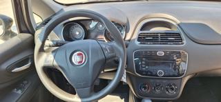 FIAT Punto usata 16