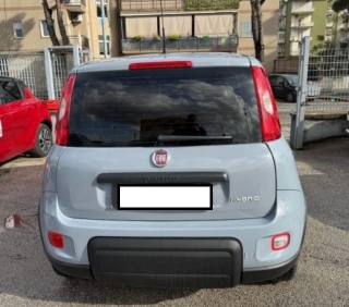 FIAT Panda usata, con Antifurto
