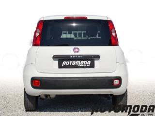 FIAT Panda usata, con Controllo trazione