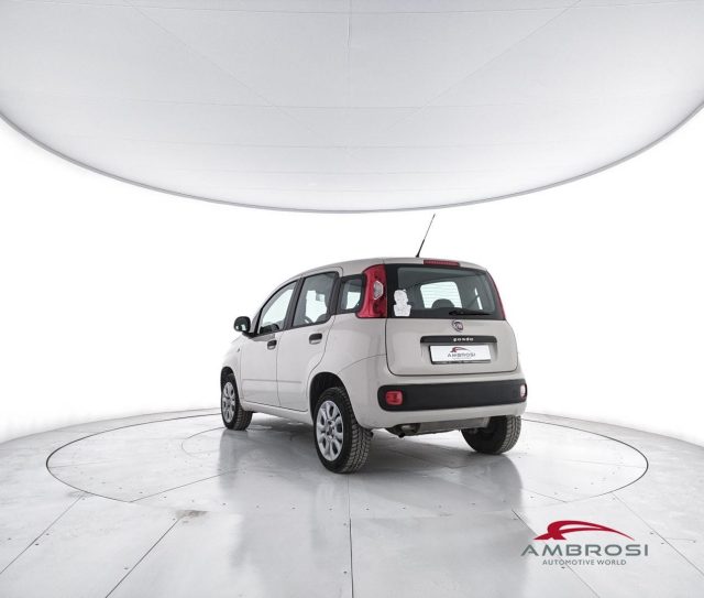 FIAT Panda usata 3