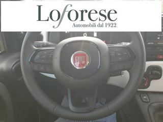 FIAT Pandina usata, con Park Distance Control