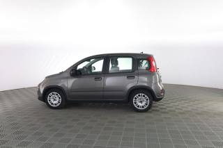 FIAT Panda usata 5