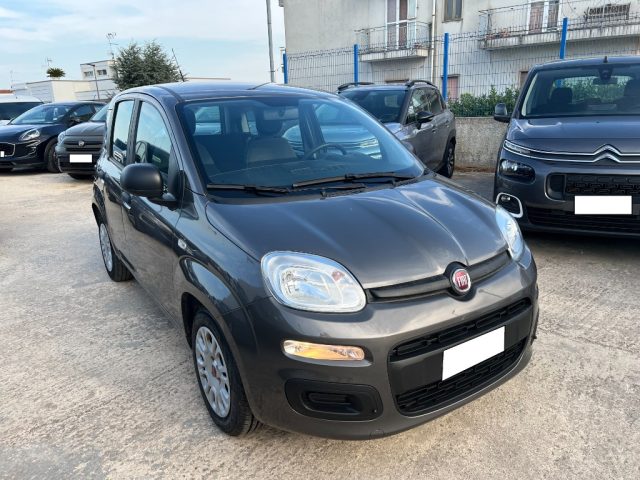 FIAT Panda usata 1