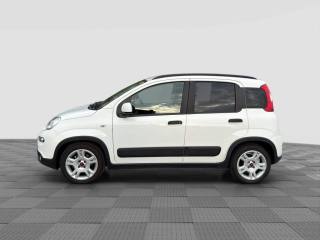 FIAT Panda usata 1