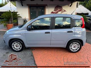FIAT Panda usata, con Airbag