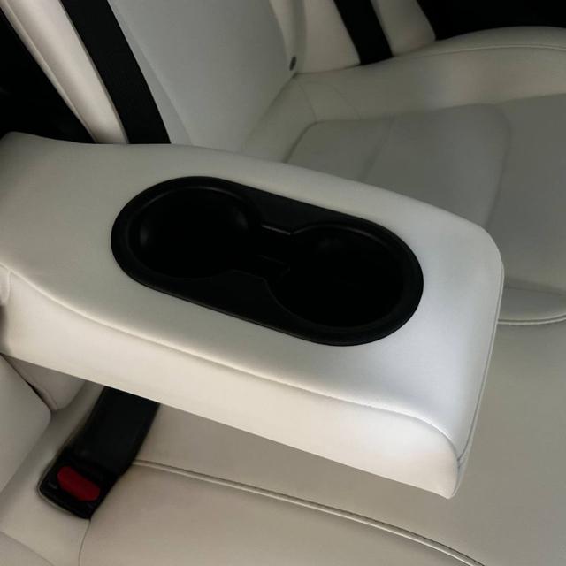 TESLA Model 3 usata, con Cronologia tagliandi
