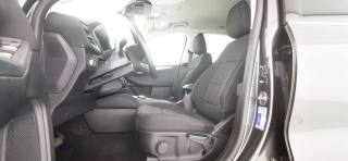 FORD Kuga usata, con Fendinebbia