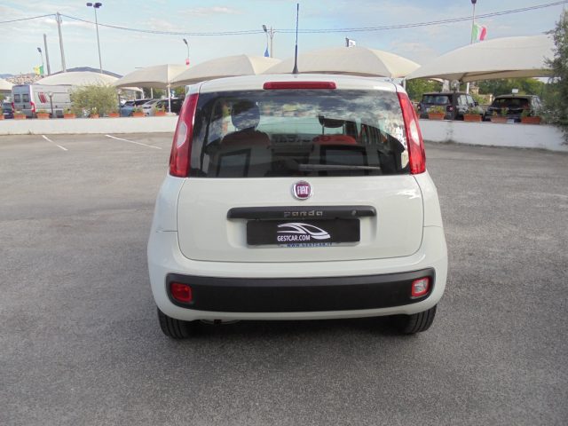 FIAT Panda usata, con Airbag testa