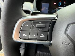 JEEP Avenger usata, con Fendinebbia