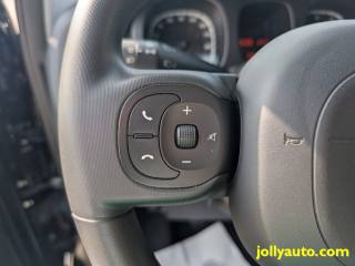 FIAT Panda usata 25