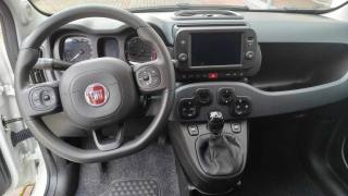 FIAT New Panda usata, con Specchietti laterali elettrici