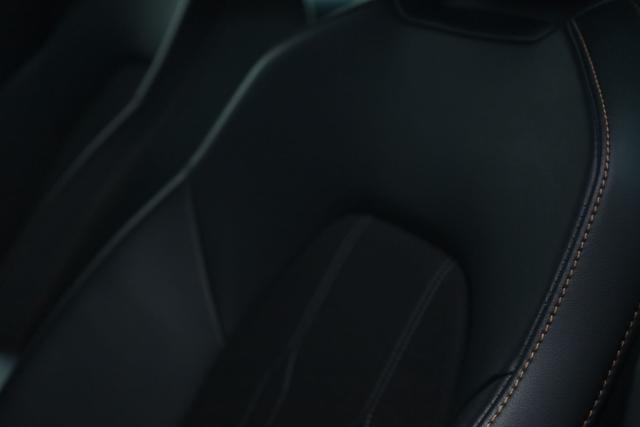 SEAT Leon usata, con Park Distance Control