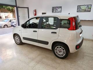 FIAT Panda usata, con Airbag Passeggero