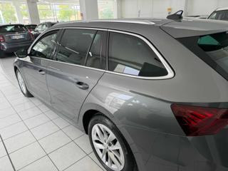 SKODA Octavia usata 28