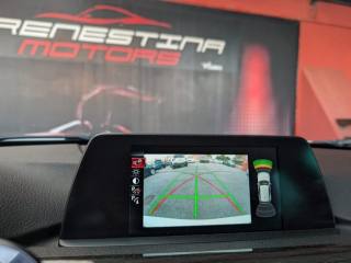 BMW 318 usata, con Controllo trazione