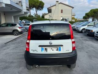 FIAT Panda usata 5