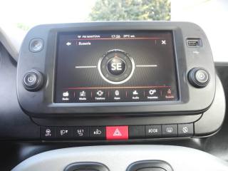 FIAT Panda Cross usata, con Airbag testa