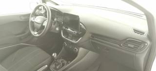 FORD Fiesta usata 50