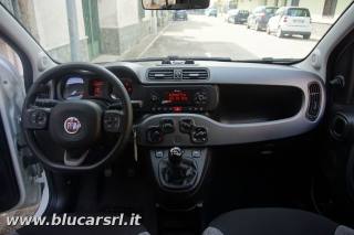 FIAT Panda usata, con Chiusura centralizzata