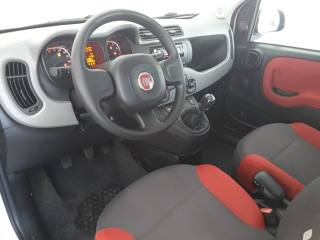 FIAT Panda usata, con Boardcomputer