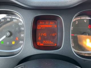 FIAT Panda usata, con Airbag testa