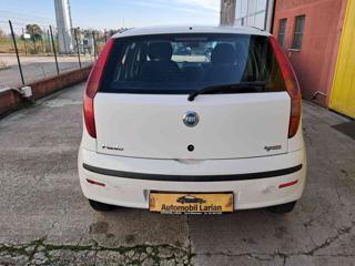 FIAT Punto usata, con Servosterzo