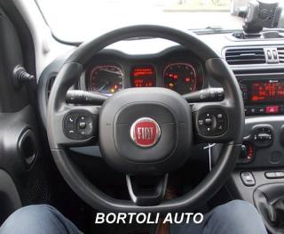 FIAT Panda usata, con Controllo trazione