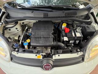 FIAT Panda usata 16