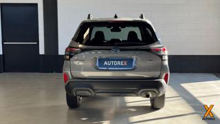 SUBARU Forester usata, con Alzacristalli elettrici