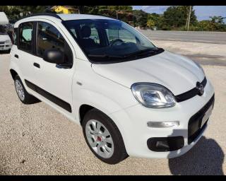 FIAT Panda usata, con Servosterzo