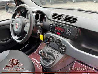 FIAT Panda usata, con Airbag testa