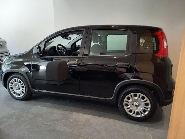 FIAT Panda usata, con Alzacristalli elettrici