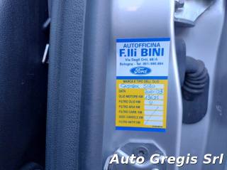 FORD EcoSport usata, con Volante in pelle