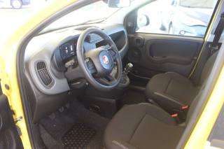 FIAT Panda usata, con Controllo trazione