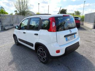FIAT Panda usata 4