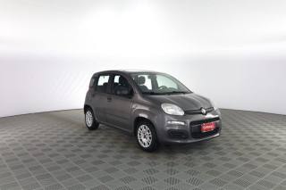 FIAT Panda usata 1