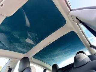 TESLA Model 3 usata 19