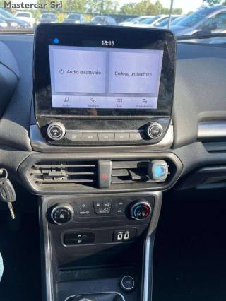 FORD EcoSport usata, con Fendinebbia