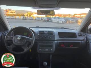 SKODA Fabia usata, con Fendinebbia