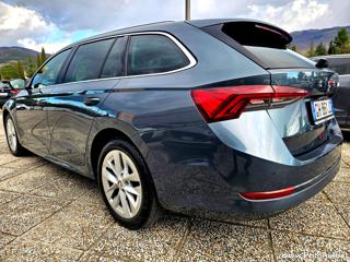 SKODA Octavia usata, con Antifurto