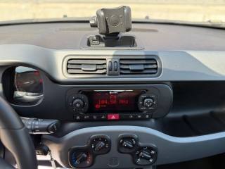 FIAT Panda usata 16
