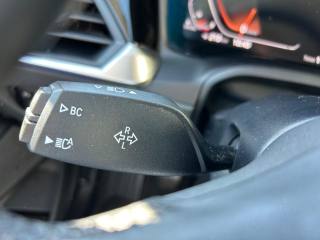 BMW 318 usata, con Fari Xenon