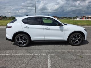 ALFA ROMEO Stelvio usata, con Chiusura centralizzata