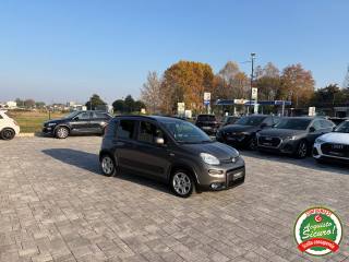 FIAT Panda usata, con Antifurto