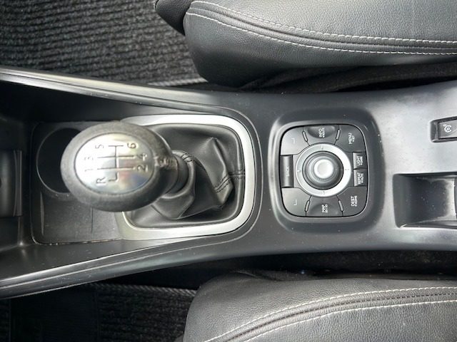 RENAULT Megane usata, con Cruise Control