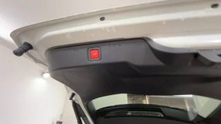 FIAT 600 usata, con Bracciolo