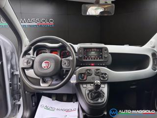 FIAT Panda usata, con Controllo trazione