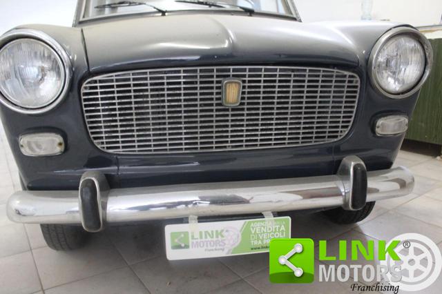 FIAT 1100 usata 14