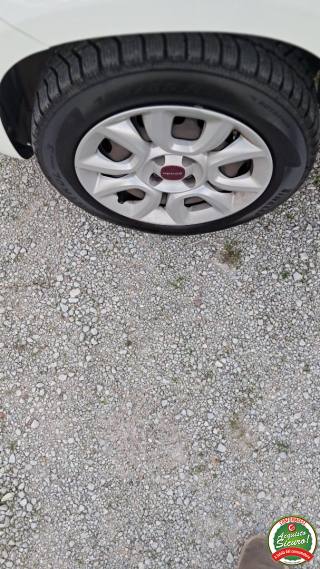 FIAT Panda usata, con Controllo trazione