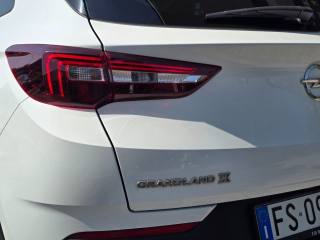 OPEL Grandland X usata 100